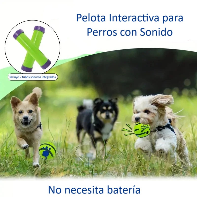 Pelota Interactiva para %%petName%% – Diversión, Estimulación Mental y Ejercicio
