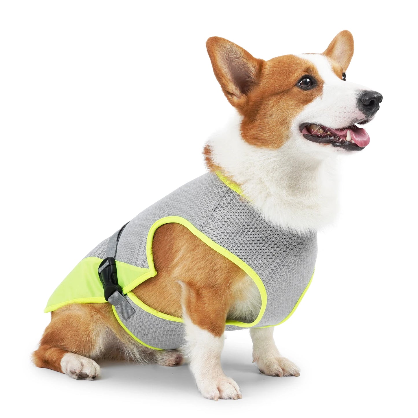 Chaleco Refrescante para %%petName%% – Ligero, Transpirable y Perfecto para el Verano ☀️🐾
