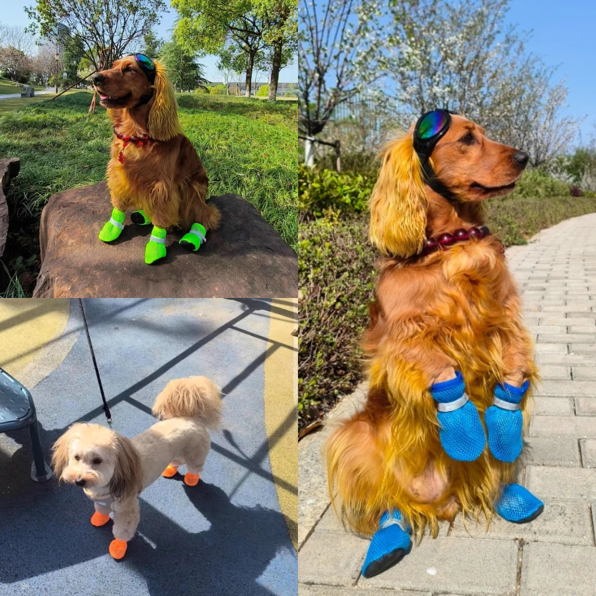Zapatos de Verano para %%petName%% – Transpirables, Antideslizantes y Resistentes ☀️🐾