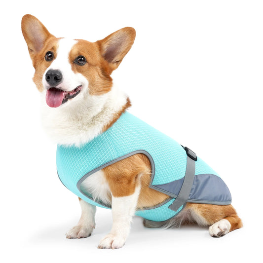 Chaleco Refrescante para %%petName%% – Ligero, Transpirable y Perfecto para el Verano ☀️🐾