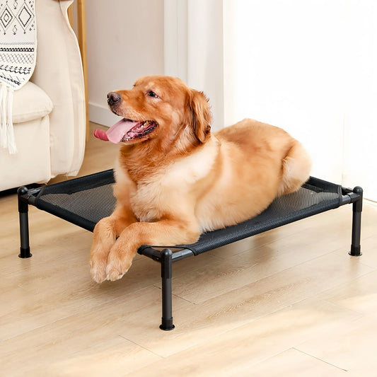 Cama Elevada Plegable para %%petName%% – Conforto, Frescura y Versatilidad en Cualquier Época del Año 🐾🛏️